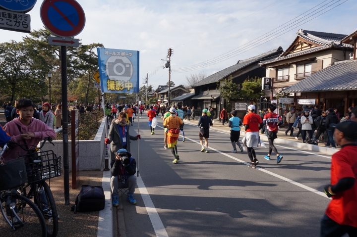 2017奈良路跑 Nara Marathon X奈良看鹿一日遊 ,分享給愛旅遊,路跑的朋友們
