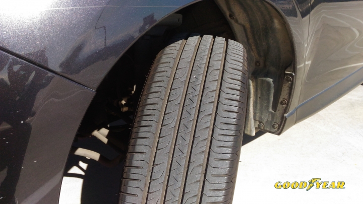 森歷其境|固特異Efficientgrip Performance SUV道路體驗 PartII