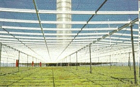 可以連署讓臺中智慧營運中心同時具有空氣清淨塔功能嗎?