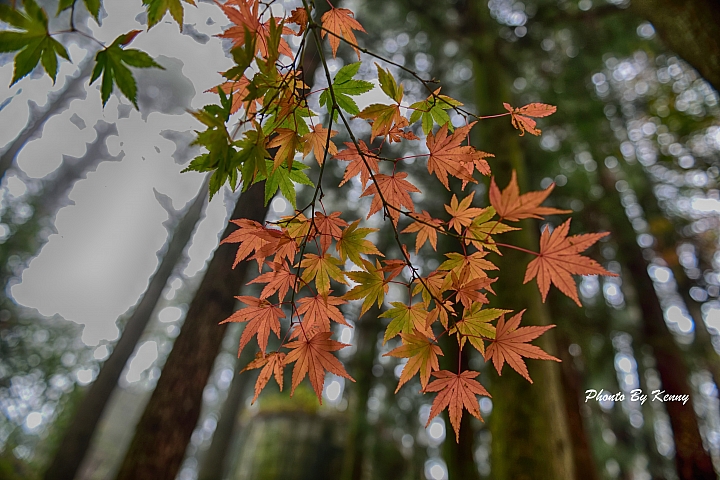 D750的風景區(盡量以風景為主)大樓區