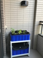 【開箱】超低預算北歐風 宜家就是我家 (2018/1/26 新增陽台露台植栽)