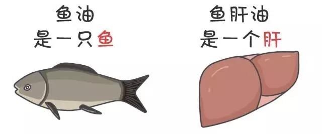 你能分清魚油、魚肝油、維生素AD、維生素D和維生素D3嗎?