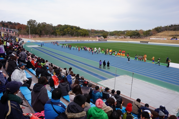 2017奈良路跑 Nara Marathon X奈良看鹿一日遊 ,分享給愛旅遊,路跑的朋友們
