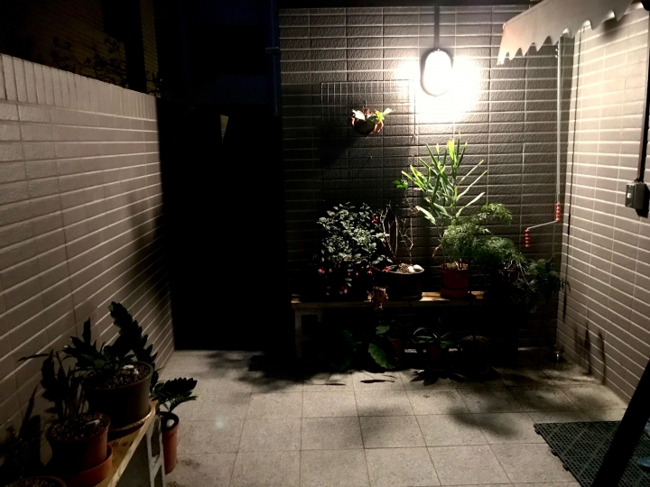【開箱】超低預算北歐風 宜家就是我家 (2018/1/26 新增陽台露台植栽)