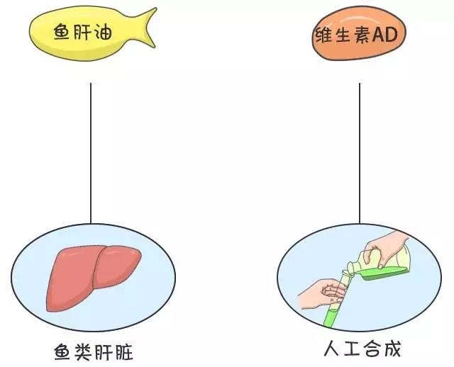 你能分清魚油、魚肝油、維生素AD、維生素D和維生素D3嗎?