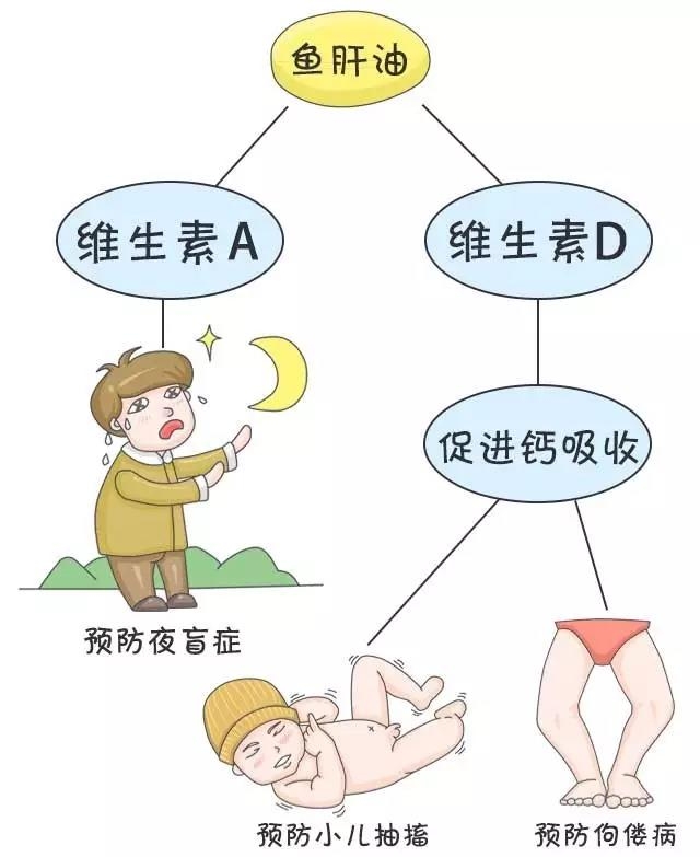 你能分清魚油、魚肝油、維生素AD、維生素D和維生素D3嗎?