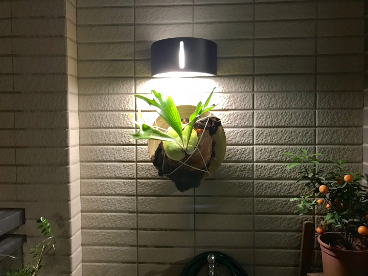 【開箱】超低預算北歐風 宜家就是我家 (2018/1/26 新增陽台露台植栽)