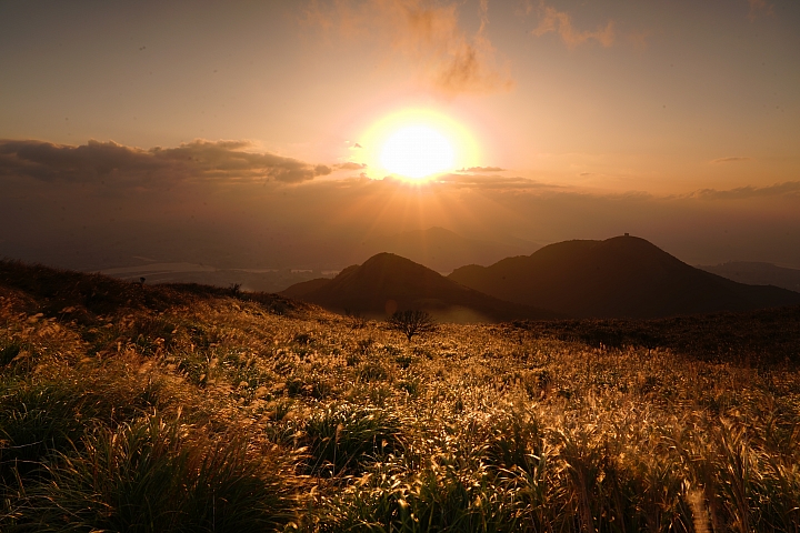 物有所值!Sony FE 24-105 mm F4 G OSS‧旅遊鏡評測(Canon、Nikon、Sigma 同場較勁!)