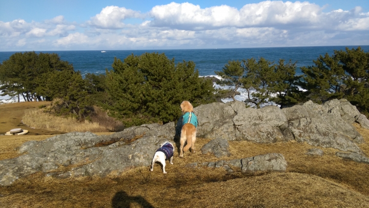 2018.01.19-02.07日本流浪20天(完)