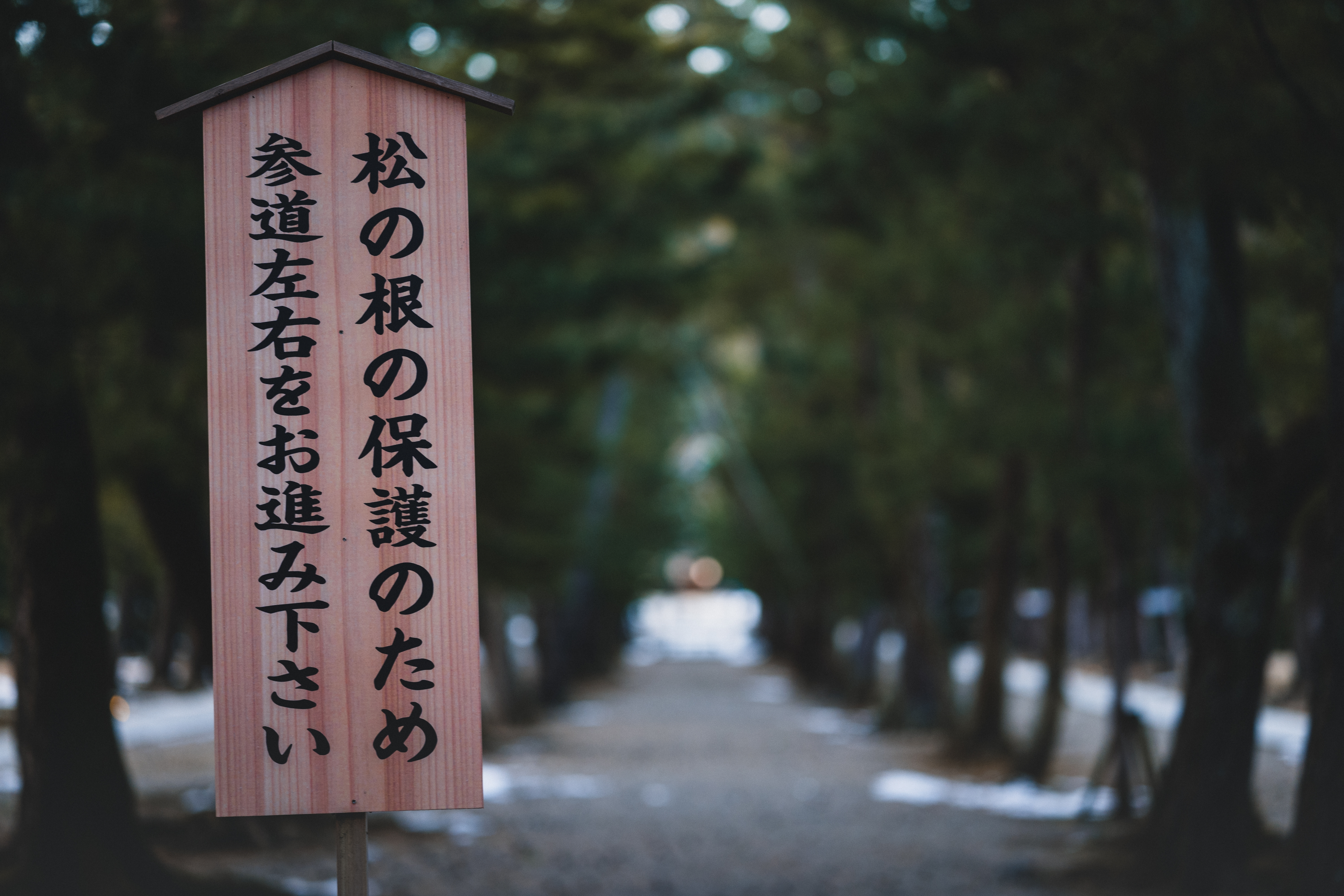 「神無月」:神明不在的月份~日本出雲大社/SL Summicron 75AA