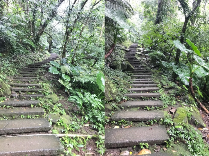 新北三峽二日遊~老街+大板根