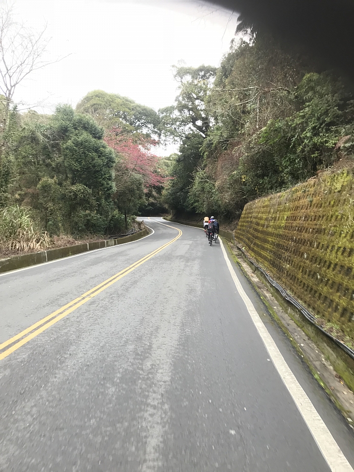 色色的日本人歐吉桑淨山之旅(武嶺)