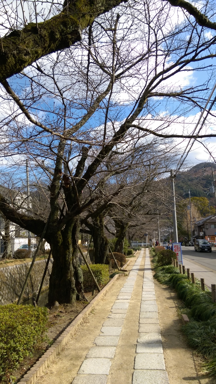 2018.01.19-02.07日本流浪20天(完)