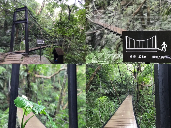 新北三峽二日遊~老街+大板根