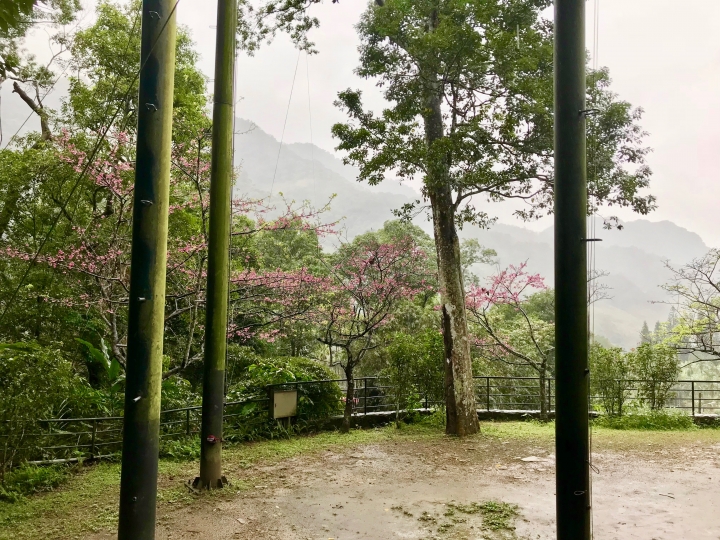 新北三峽二日遊~老街+大板根