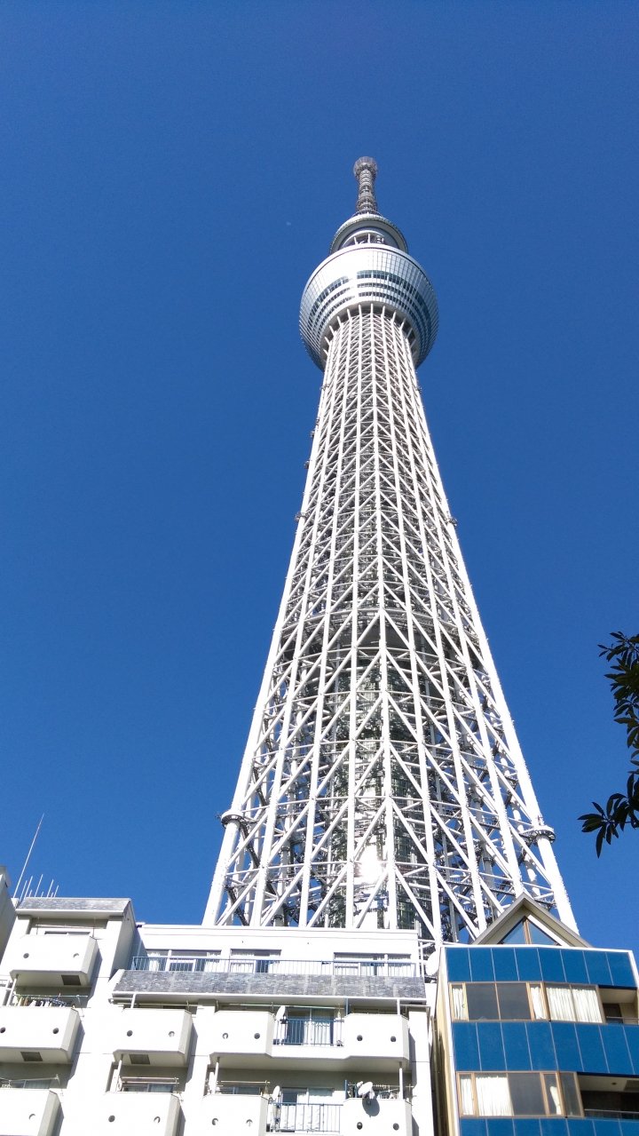 2018.01.19-02.07日本流浪20天(完)