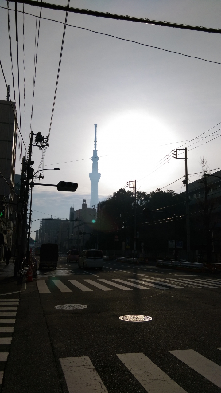 2018.01.19-02.07日本流浪20天(完)
