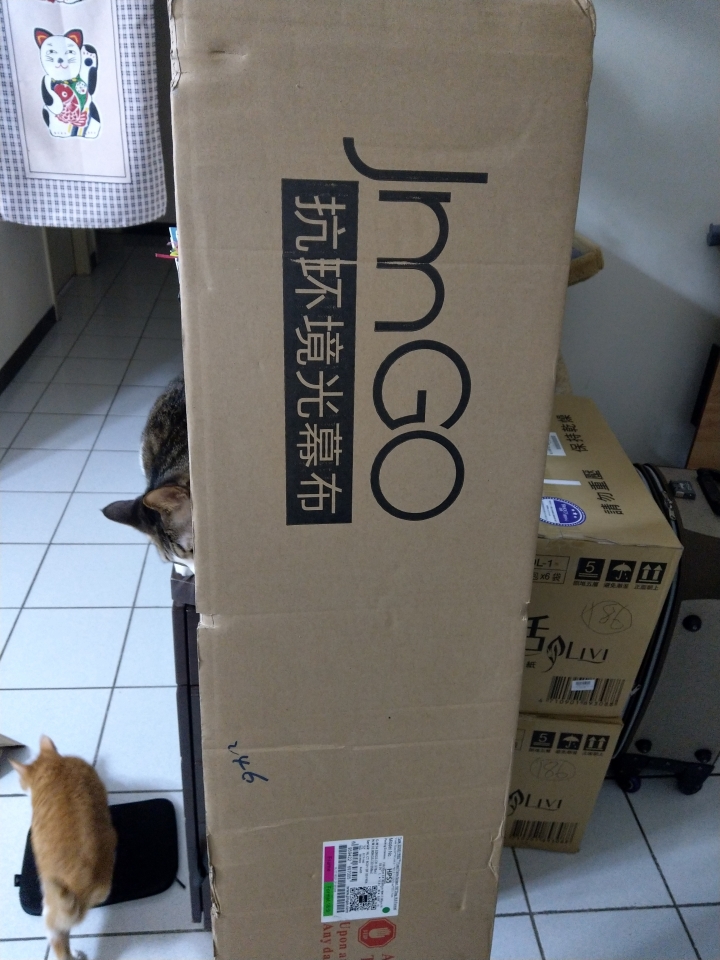 堅果SC 雷射投影機分享