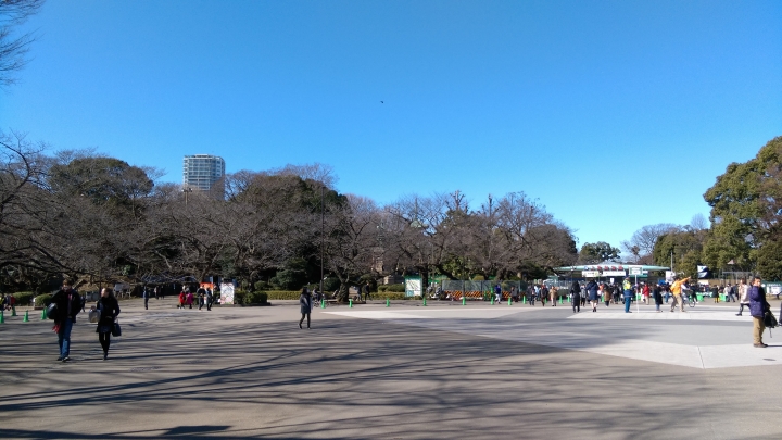 2018.01.19-02.07日本流浪20天(完)