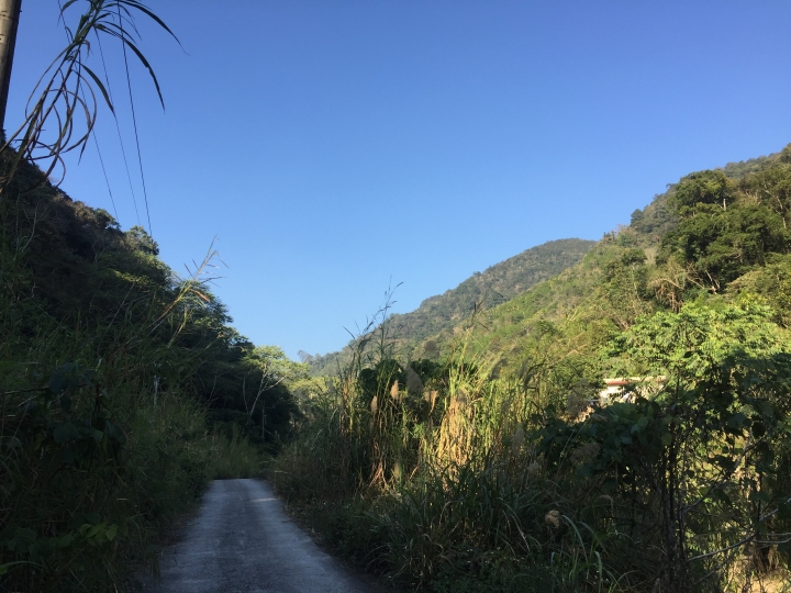 神鵝瞎旅之:探查國姓鄉 有梅有發現瀑布 這回事