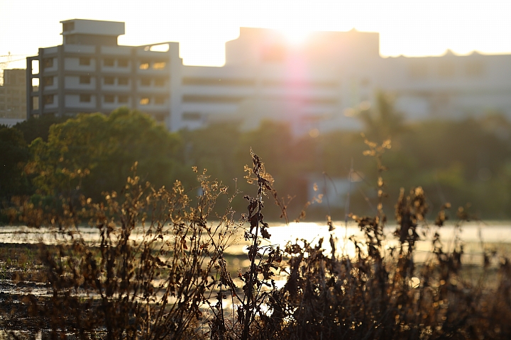Canon EOS 5D Mark IV + TS-E13540LM 拍攝樣本 Canon EOS 5D Mark IV + TS-E13540LM 拍攝樣本