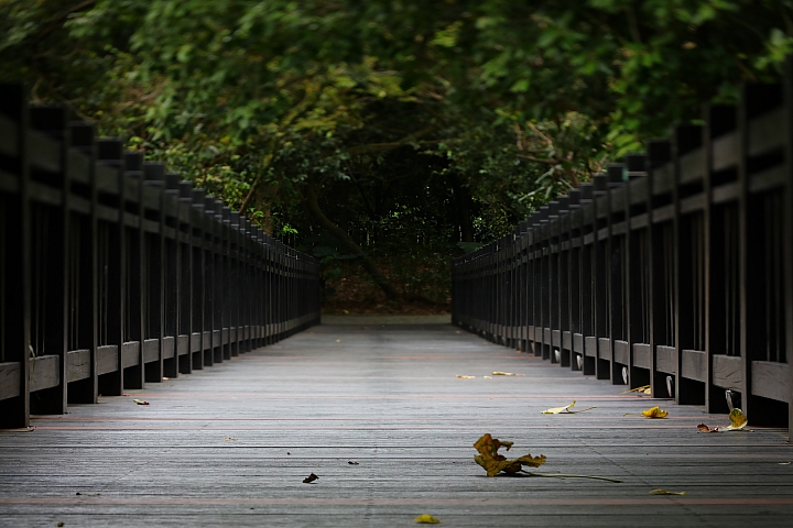 Canon EOS 5D Mark IV + TS-E13540LM 拍攝樣本 Canon EOS 5D Mark IV + TS-E13540LM 拍攝樣本