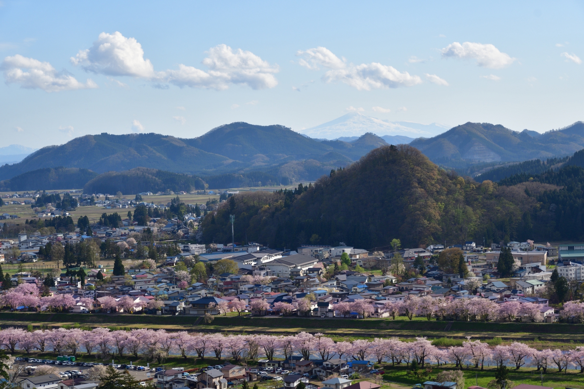 去年春天D500在日本東北的日子