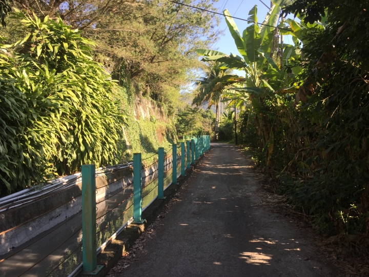 神鵝瞎旅之:探查國姓鄉 有梅有發現瀑布 這回事