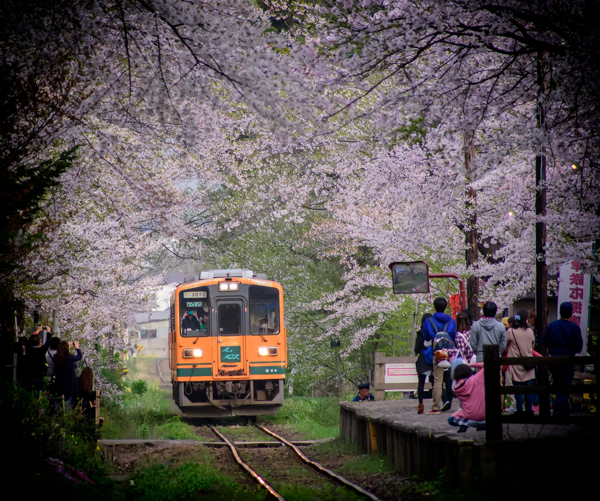 去年春天D500在日本東北的日子