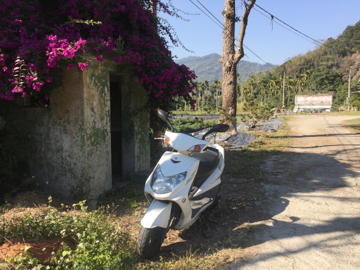 神鵝瞎旅之:探查國姓鄉 有梅有發現瀑布 這回事