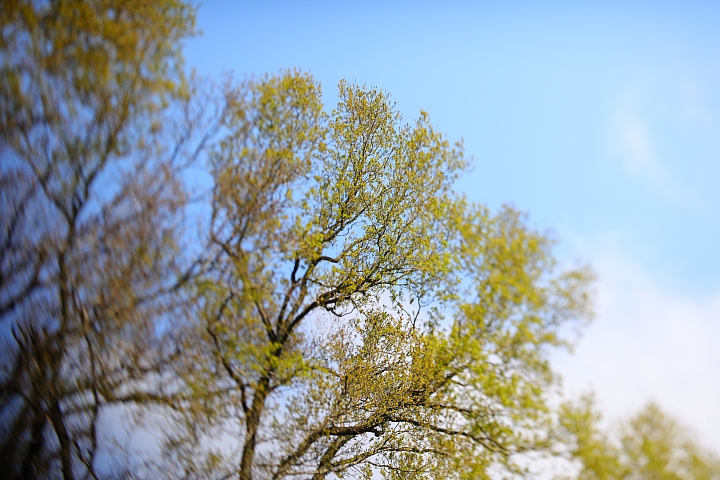 Canon EOS 5D Mark IV + TS-E13540LM 拍攝樣本 Canon EOS 5D Mark IV + TS-E13540LM 拍攝樣本