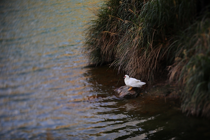 Canon EOS 5D Mark IV + TS-E13540LM 拍攝樣本 Canon EOS 5D Mark IV + TS-E13540LM 拍攝樣本