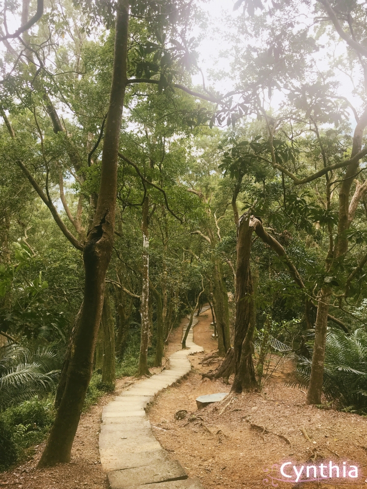 春天來了~三峽大板根賞花&溫泉放鬆