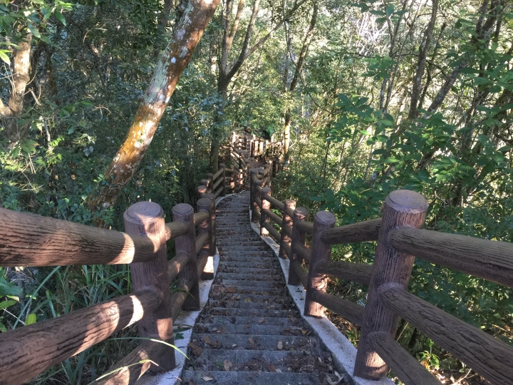 神鵝瞎旅之:探查國姓鄉 有梅有發現瀑布 這回事