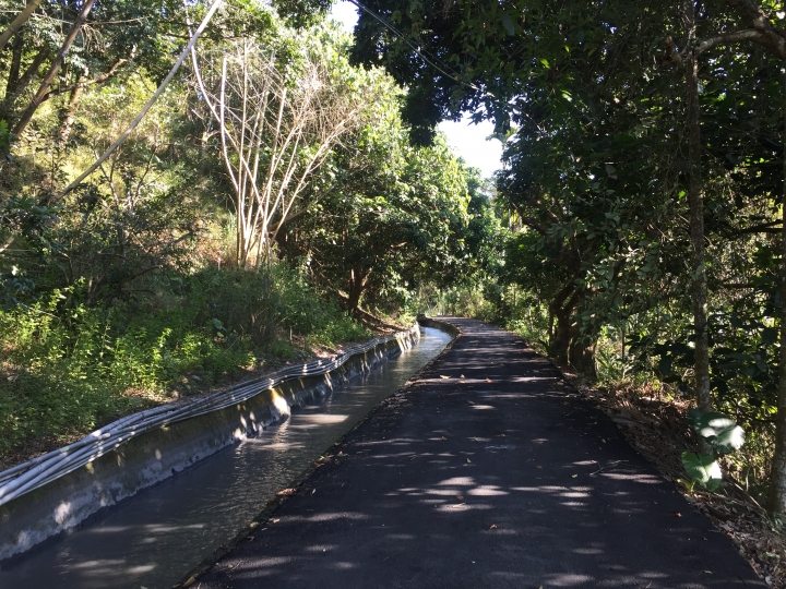 神鵝瞎旅之：探查國姓鄉 有梅有發現瀑布 這回事