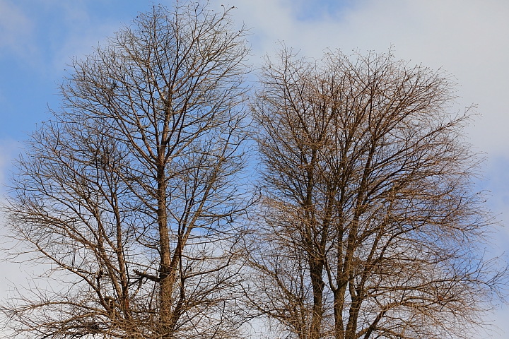 Canon EOS 5D Mark IV + TS-E13540LM 拍攝樣本 Canon EOS 5D Mark IV + TS-E13540LM 拍攝樣本