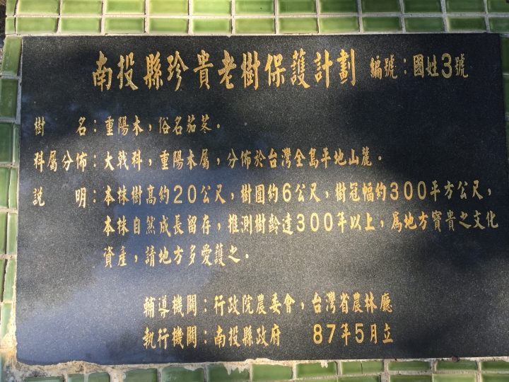 神鵝瞎旅之:探查國姓鄉 有梅有發現瀑布 這回事