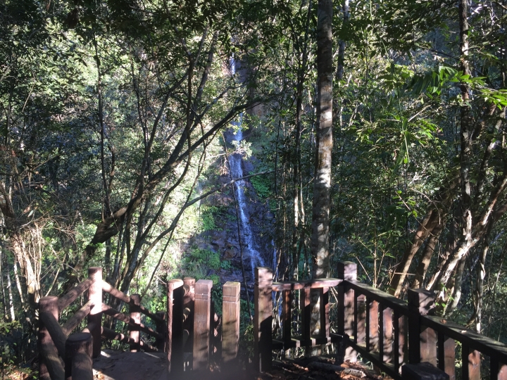神鵝瞎旅之:探查國姓鄉 有梅有發現瀑布 這回事