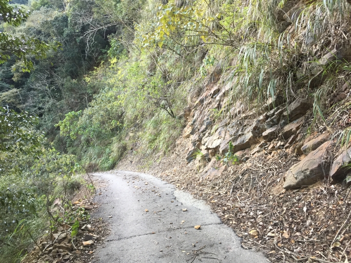 神鵝瞎旅之:探查國姓鄉 有梅有發現瀑布 這回事