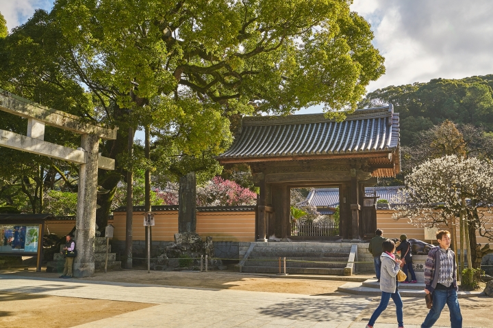 九州 Sony A7r2