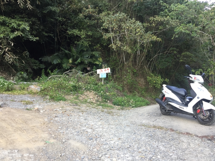 神鵝瞎旅之:探查國姓鄉 有梅有發現瀑布 這回事