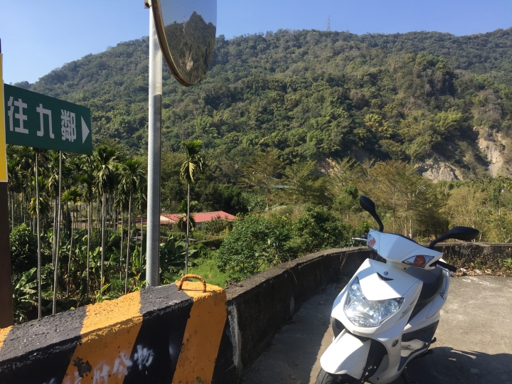 神鵝瞎旅之:探查國姓鄉 有梅有發現瀑布 這回事