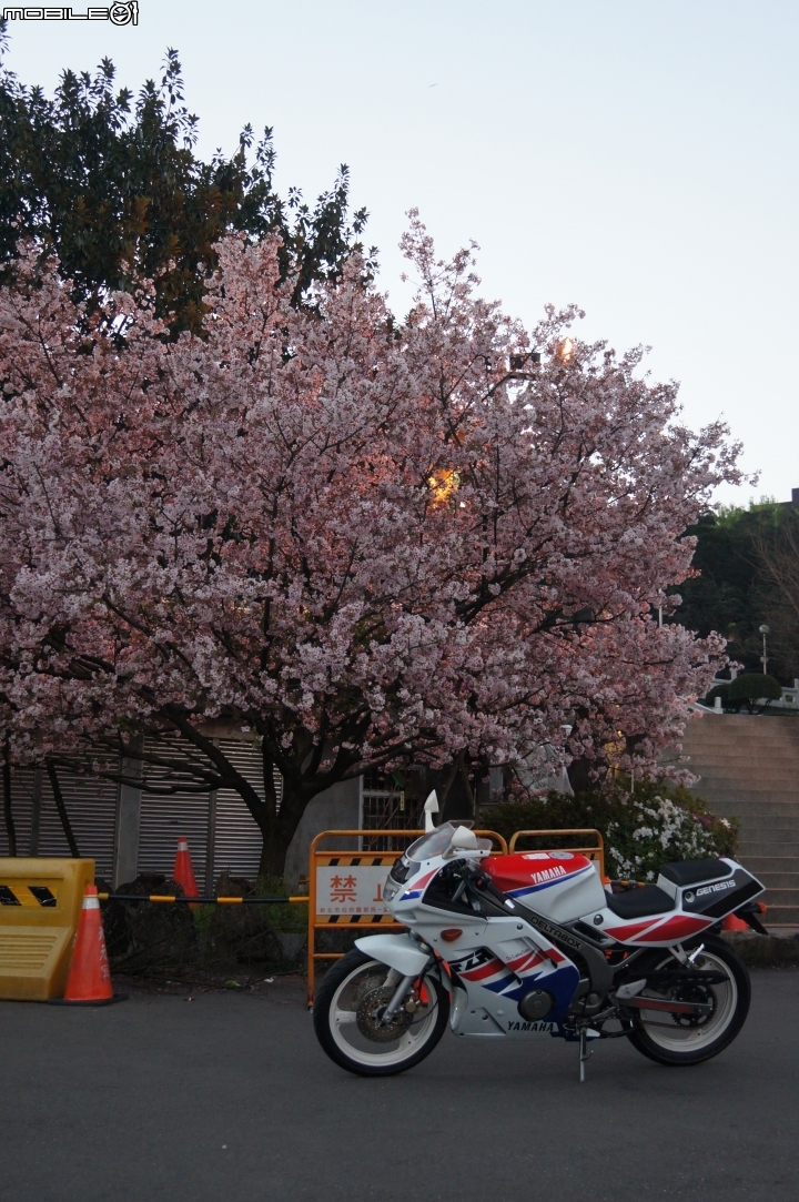 西元1990年 我的青春 台灣山葉 YAMAHA FZR150
