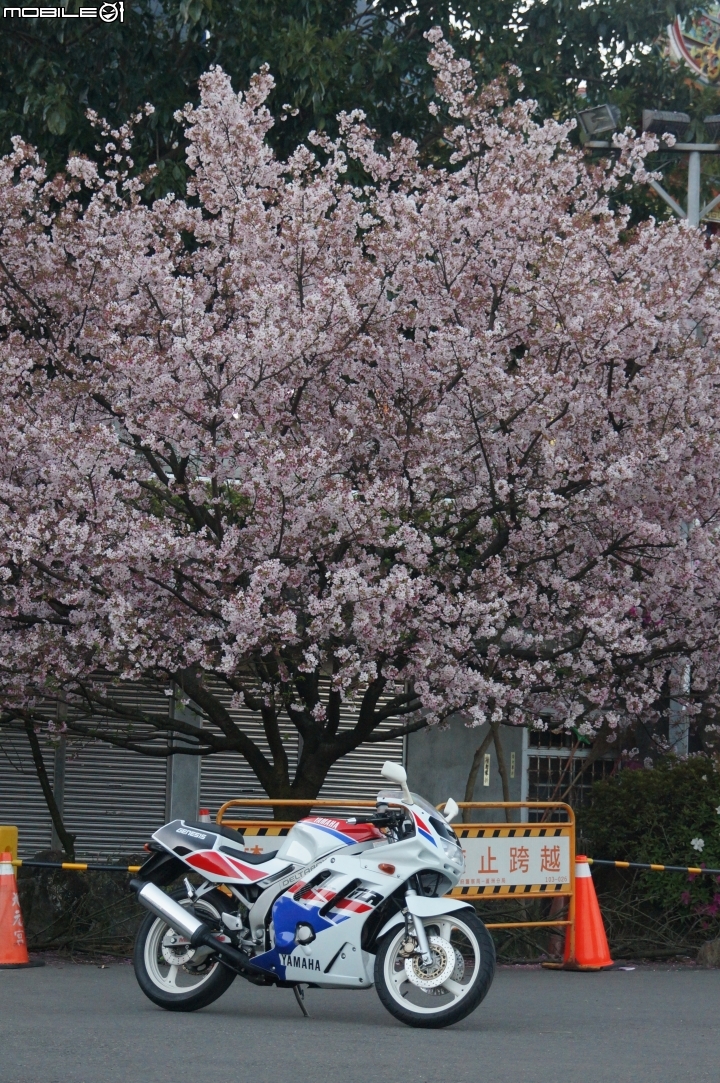 西元1990年 我的青春 台灣山葉 YAMAHA FZR150