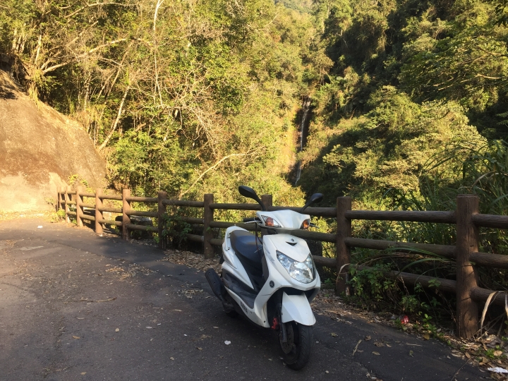 神鵝瞎旅之:探查國姓鄉 有梅有發現瀑布 這回事