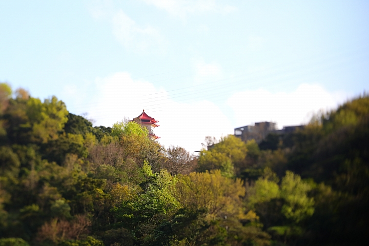Canon EOS 5D Mark IV + TS-E13540LM 拍攝樣本 Canon EOS 5D Mark IV + TS-E13540LM 拍攝樣本