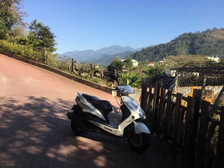 神鵝瞎旅之:探查國姓鄉 有梅有發現瀑布 這回事