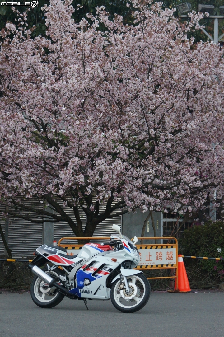 西元1990年 我的青春 台灣山葉 YAMAHA FZR150