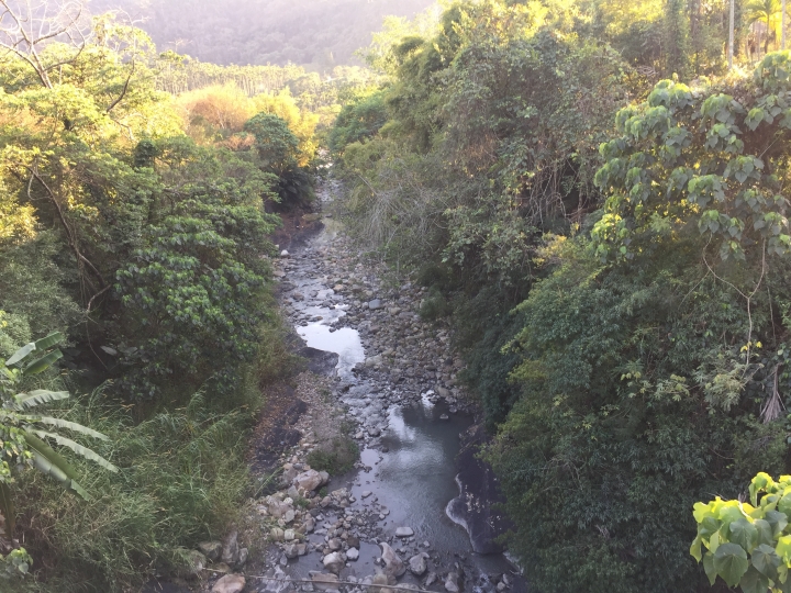 神鵝瞎旅之：探查國姓鄉 有梅有發現瀑布 這回事