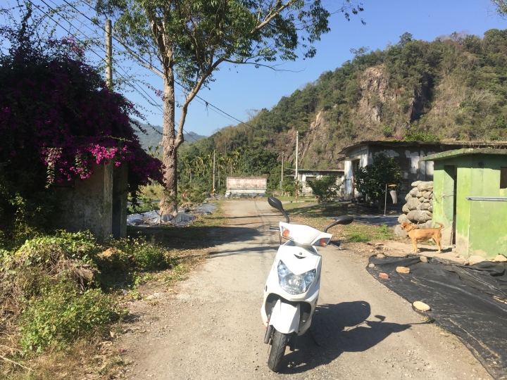 神鵝瞎旅之:探查國姓鄉 有梅有發現瀑布 這回事